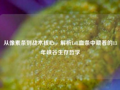 从像素条到战术核心，解析LoL血条中藏着的13年峡谷生存哲学