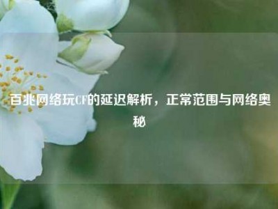 百兆网络玩CF的延迟解析，正常范围与网络奥秘