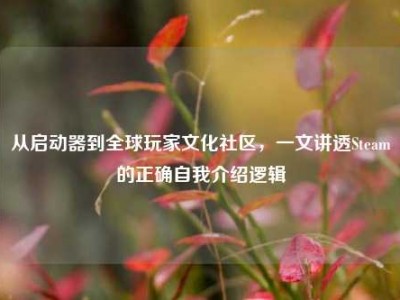 从启动器到全球玩家文化社区，一文讲透Steam的正确自我介绍逻辑