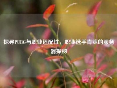 探寻PUBG与职业适配性，职业选手青睐的服务器探秘