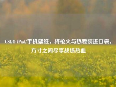 CSGO iPad/手机壁纸，将枪火与热爱装进口袋，方寸之间尽享战场热血
