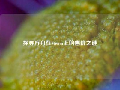 探寻方舟在Steam上的售价之谜