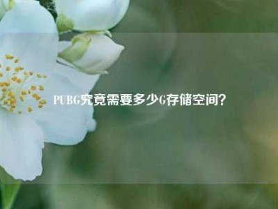PUBG究竟需要多少G存储空间？
