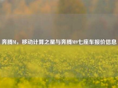 奔腾M，移动计算之星与奔腾M9七座车报价信息