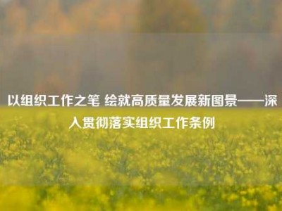 以组织工作之笔 绘就高质量发展新图景——深入贯彻落实组织工作条例