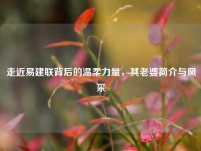 走近易建联背后的温柔力量，其老婆简介与风采