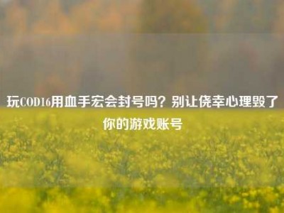 玩COD16用血手宏会封号吗？别让侥幸心理毁了你的游戏账号