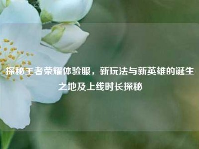 探秘王者荣耀体验服，新玩法与新英雄的诞生之地及上线时长探秘
