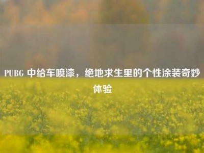 PUBG 中给车喷漆，绝地求生里的个性涂装奇妙体验