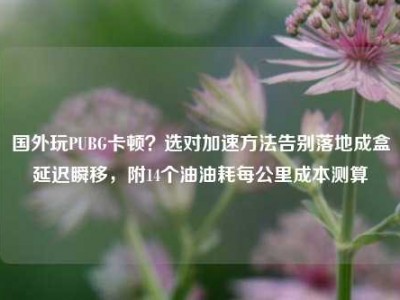 国外玩PUBG卡顿？选对加速方法告别落地成盒延迟瞬移，附14个油油耗每公里成本测算
