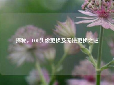 探秘，LOL头像更换及无法更换之谜