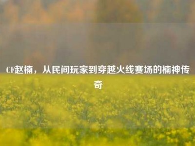 CF赵楠，从民间玩家到穿越火线赛场的楠神传奇