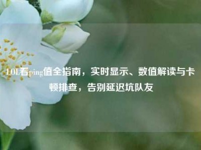 LOL看ping值全指南，实时显示、数值解读与卡顿排查，告别延迟坑队友