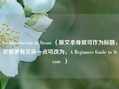 An Introduction to Steam （原文本身就可作为标题，若需更有文采一点可改为，A Beginners Guide to Steam  ）
