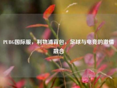 PUBG国际服，利物浦背包，足球与电竞的激情融合