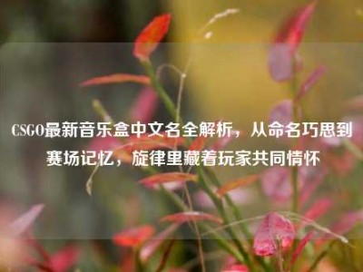 CSGO最新音乐盒中文名全解析，从命名巧思到赛场记忆，旋律里藏着玩家共同情怀