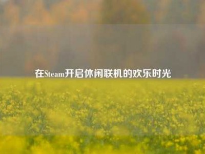 在Steam开启休闲联机的欢乐时光