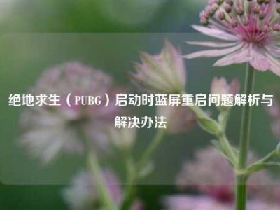 绝地求生（PUBG）启动时蓝屏重启问题解析与解决办法