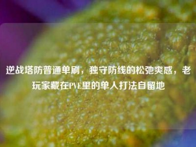 逆战塔防普通单刷，独守防线的松弛爽感，老玩家藏在PVE里的单人打法自留地
