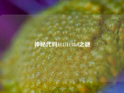 神秘代码11171118cf之谜