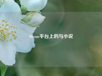 Steam平台上的与小说
