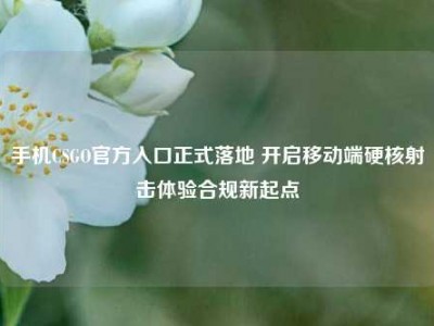 手机CSGO官方入口正式落地 开启移动端硬核射击体验合规新起点