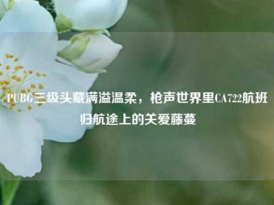 PUBG三级头藏满溢温柔，枪声世界里CA722航班归航途上的关爱藤蔓