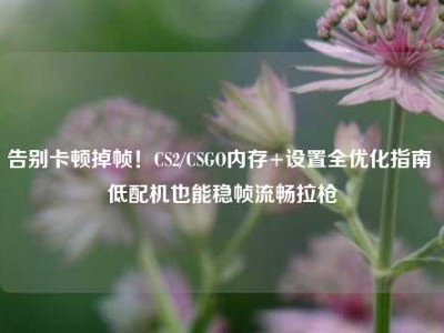 告别卡顿掉帧！CS2/CSGO内存+设置全优化指南 低配机也能稳帧流畅拉枪