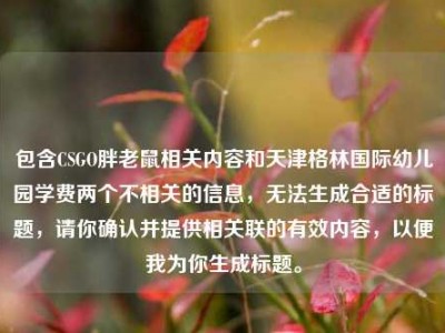 包含CSGO胖老鼠相关内容和天津格林国际幼儿园学费两个不相关的信息，无法生成合适的标题，请你确认并提供相关联的有效内容，以便我为你生成标题。