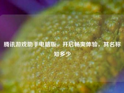 腾讯游戏助手电脑版，开启畅爽体验，其名称知多少