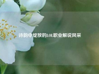 诗韵中绽放的LOL职业解说风采