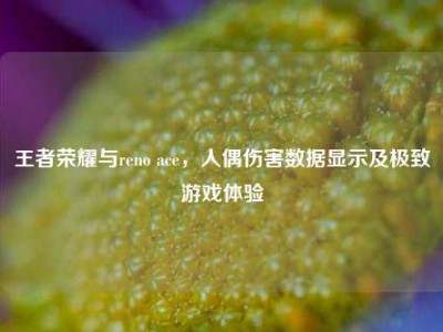 王者荣耀与reno ace，人偶伤害数据显示及极致游戏体验