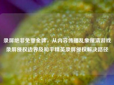 录屏绝非免罪金牌，从内容传播乱象厘清游戏录屏侵权边界及和平精英录屏侵权解决路径