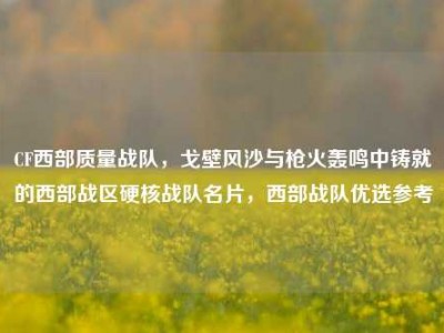 CF西部质量战队，戈壁风沙与枪火轰鸣中铸就的西部战区硬核战队名片，西部战队优选参考
