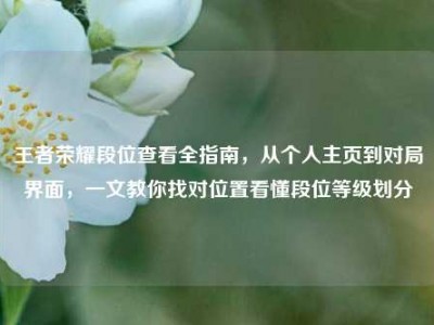 王者荣耀段位查看全指南，从个人主页到对局界面，一文教你找对位置看懂段位等级划分
