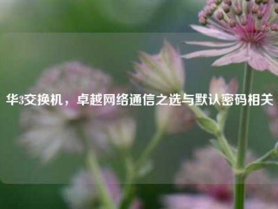 华3交换机，卓越网络通信之选与默认密码相关