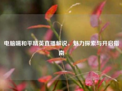 电脑端和平精英直播解说，魅力探索与开启指南