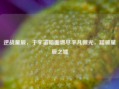 逆战星辰，于宇宙暗面燃尽平凡微光，踏破星辰之墟