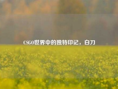 CSGO世界中的独特印记，白刀