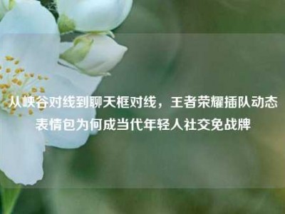 从峡谷对线到聊天框对线，王者荣耀插队动态表情包为何成当代年轻人社交免战牌