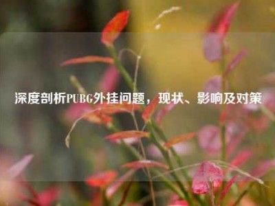 深度剖析PUBG外挂问题，现状、影响及对策