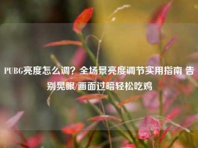 PUBG亮度怎么调？全场景亮度调节实用指南 告别晃眼/画面过暗轻松吃鸡