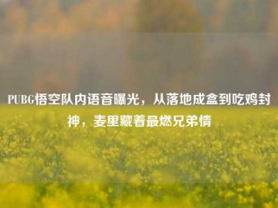 PUBG悟空队内语音曝光，从落地成盒到吃鸡封神，麦里藏着最燃兄弟情