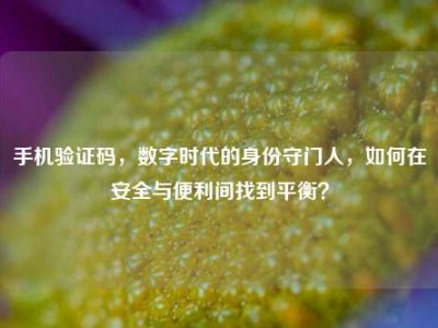 手机验证码，数字时代的身份守门人，如何在安全与便利间找到平衡？