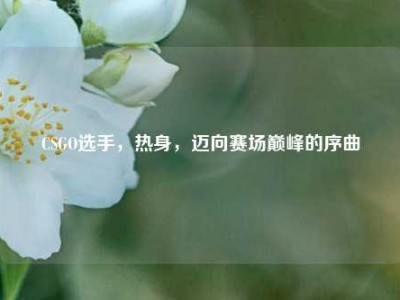 CSGO选手，热身，迈向赛场巅峰的序曲