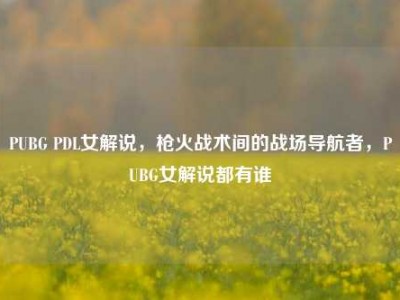 PUBG PDL女解说，枪火战术间的战场导航者，PUBG女解说都有谁
