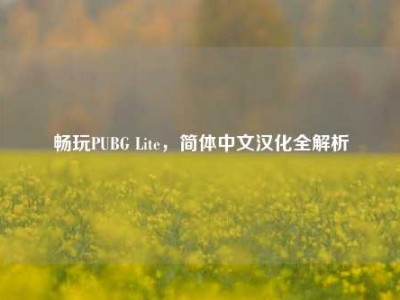 畅玩PUBG Lite，简体中文汉化全解析