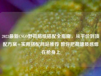 2023最新CSGO野荷贴纸搭配全指南，从平价到顶配方案+实用搭配网站推荐 教你把荷塘质感焊在枪身上