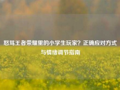 怒骂王者荣耀里的小学生玩家？正确应对方式与情绪调节指南