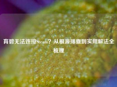 育碧无法连接Steam？从根源排查到实用解法全梳理